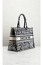 Dior Toile De Jouy Book Tote Bag